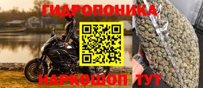 PSILOCYBIN Кинель