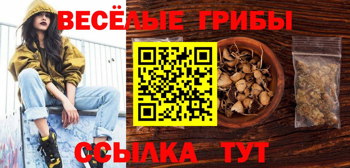 Кириши  Галлюциногенные грибы мицелий  Вход с VPN 