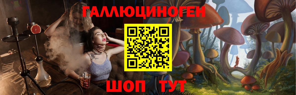 Псилоцибиновые грибы MAGIC MUSHROOMS Кириши