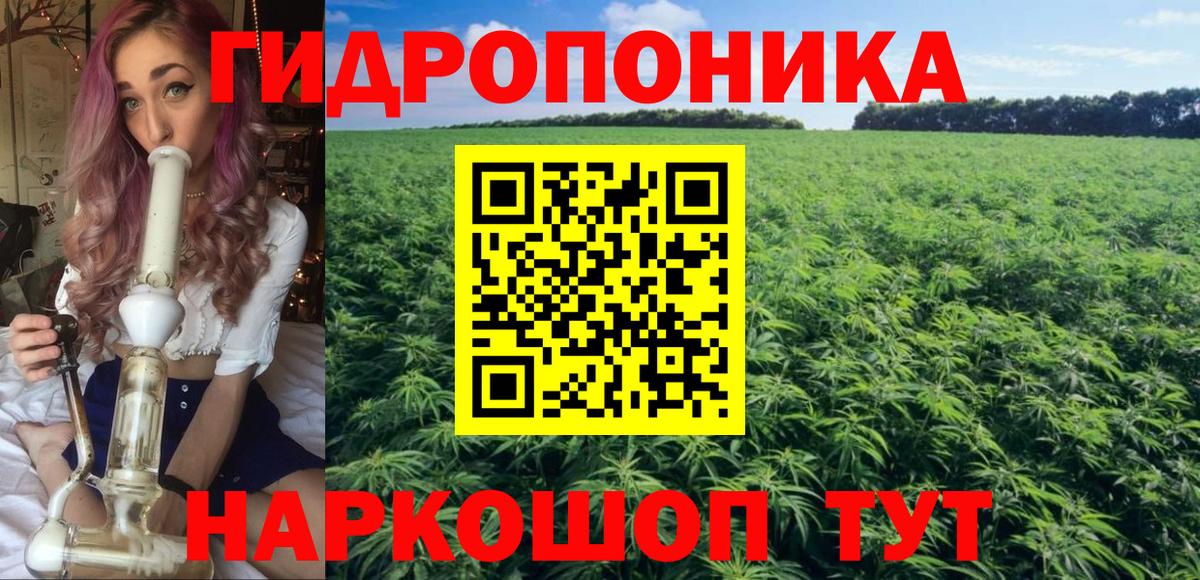 Канабис OG Kush  Вход с VPN  Марихуана LSD WEED  Кириши 